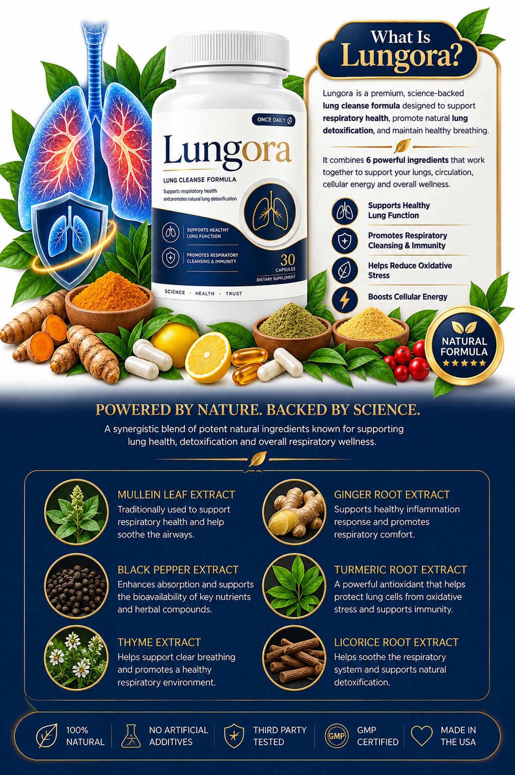 Lungora premium natural daily respiratory wellness formula for comfortable breathing healthy respiratory function and everyday vitality